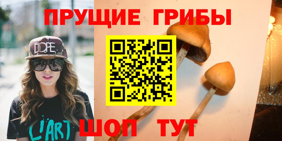 Псилоцибиновые грибы GOLDEN TEACHER  купить наркотики сайты  Звенигород  Галлюциногенные грибы ЛСД  Вход с VPN 