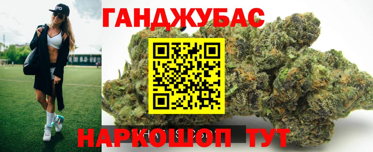 Каннабис планчик Звенигород